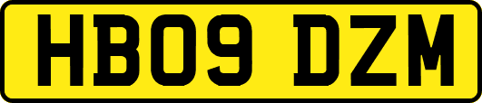 HB09DZM