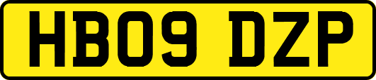 HB09DZP