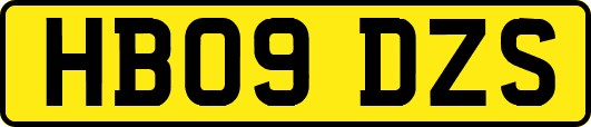 HB09DZS