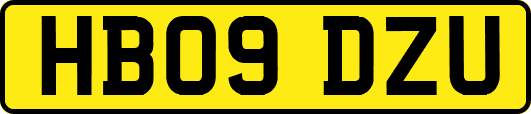HB09DZU