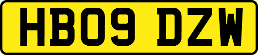 HB09DZW