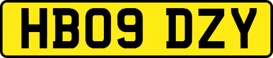 HB09DZY