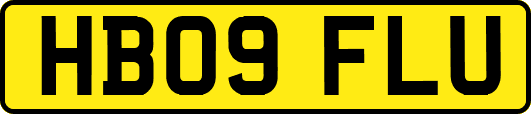 HB09FLU