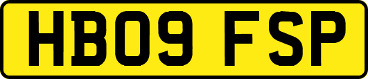 HB09FSP