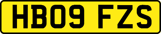 HB09FZS