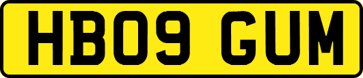 HB09GUM