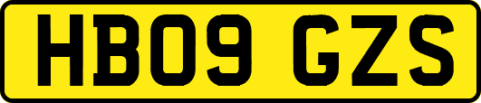 HB09GZS