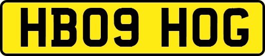 HB09HOG