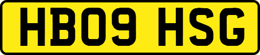 HB09HSG