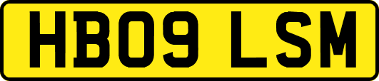 HB09LSM