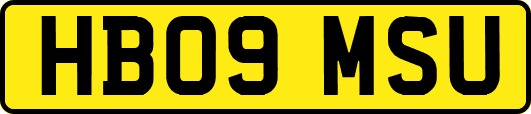 HB09MSU