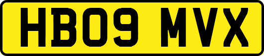 HB09MVX