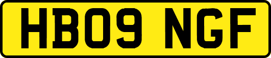 HB09NGF