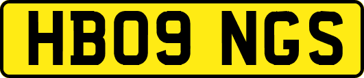 HB09NGS