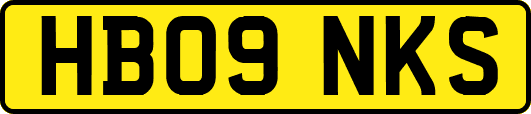 HB09NKS