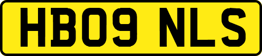 HB09NLS