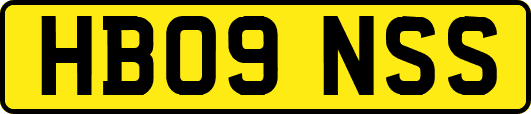 HB09NSS