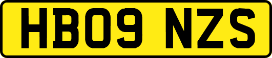 HB09NZS