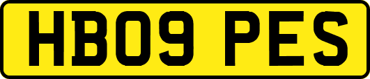 HB09PES