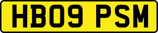 HB09PSM