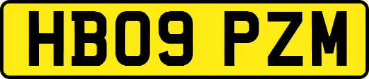 HB09PZM
