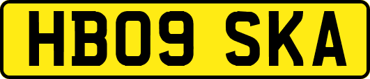 HB09SKA