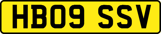 HB09SSV