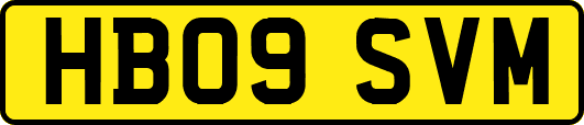 HB09SVM