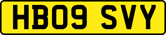 HB09SVY