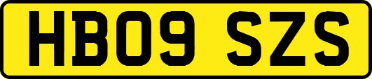 HB09SZS