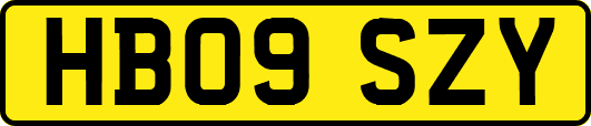HB09SZY