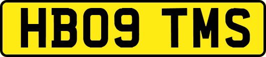 HB09TMS