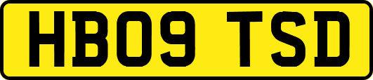 HB09TSD