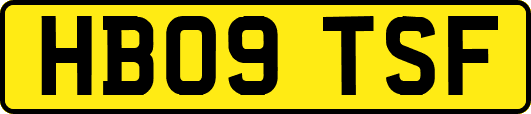 HB09TSF
