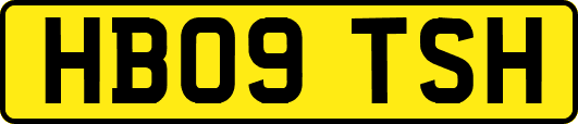 HB09TSH