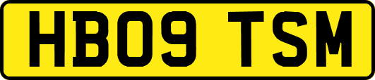 HB09TSM