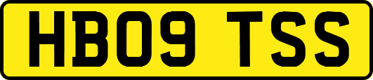 HB09TSS