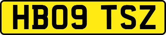 HB09TSZ