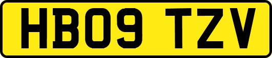 HB09TZV