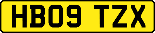 HB09TZX