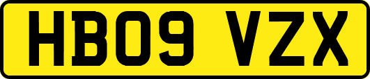 HB09VZX