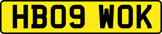 HB09WOK