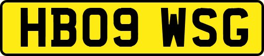 HB09WSG