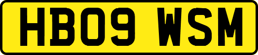 HB09WSM