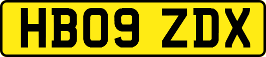 HB09ZDX