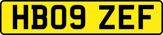 HB09ZEF