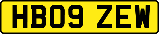 HB09ZEW