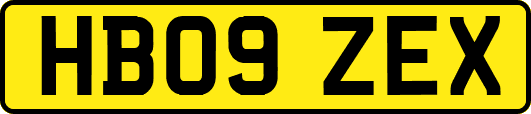 HB09ZEX