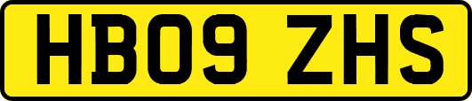 HB09ZHS