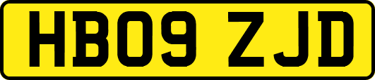 HB09ZJD